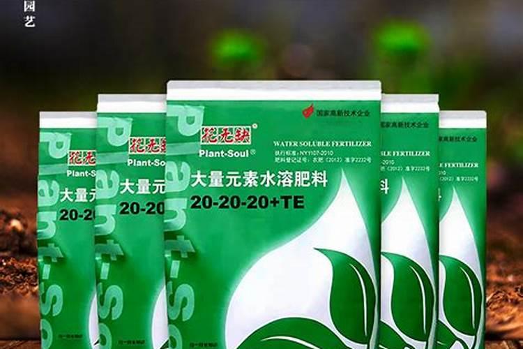 月季施什么肥(两种方案)