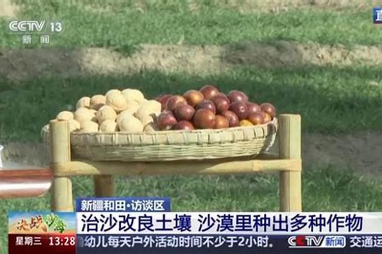 地黄底肥用什么肥料？