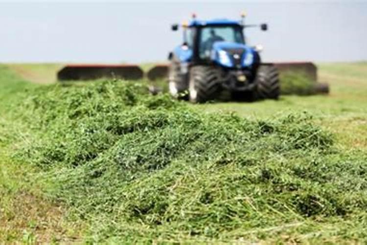 铵氮和氨氮的区别是什么？