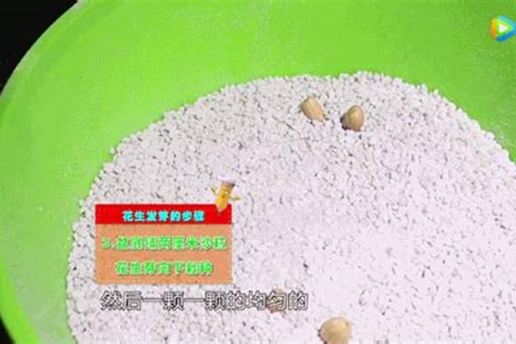 花生池怎样补钙