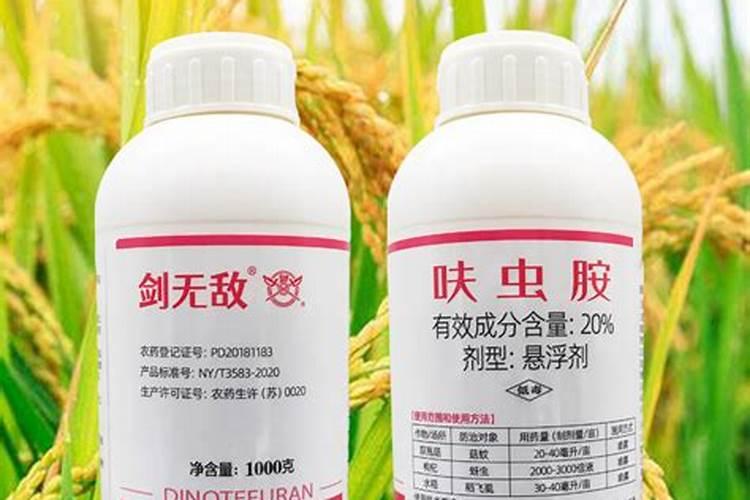 联苯呋虫胺可以用在蓝莓上吗