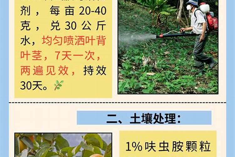 杀菌剂和杀虫剂最佳搭配