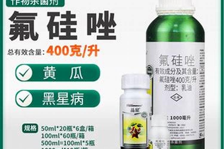 大葱先打药还是先打叶面肥