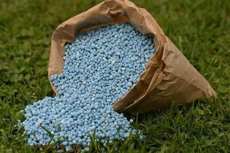 草坪常用的磷肥有哪些？