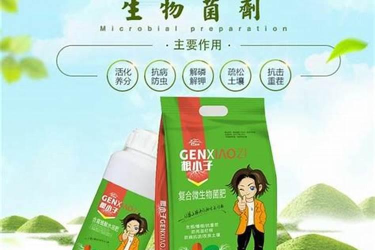 ...中药材五味子壮根灵药,中药材用什么肥料可以生根？