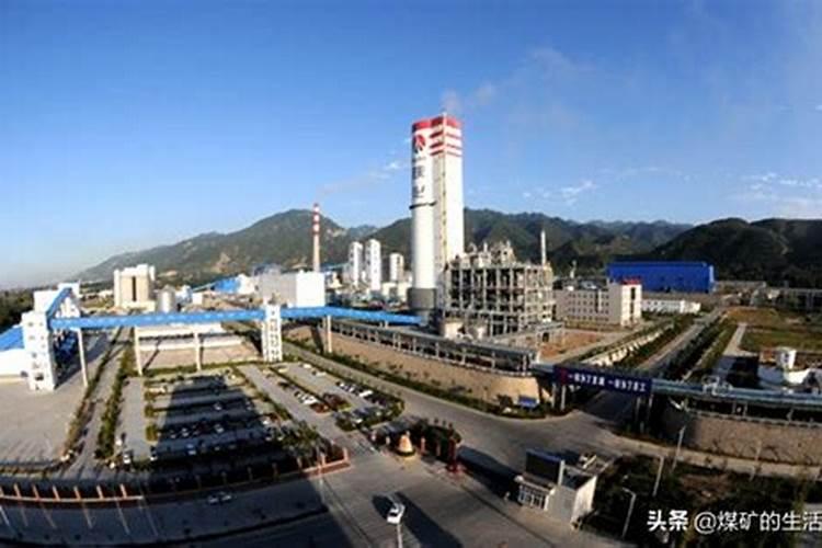 请问从年均20度以上的地方带回的兰花如何种植？(带回地年均10到20度...