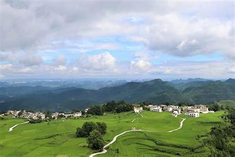 山渣用啥肥好,去年山渣上色很差,绿红,不是全红的那种？