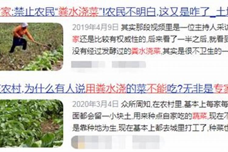 鱼池水可以浇菜吗