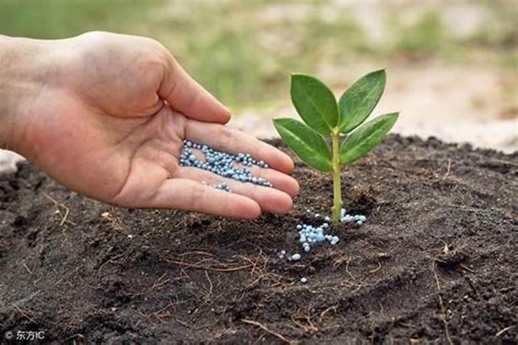 什么叫腐熟有机肥