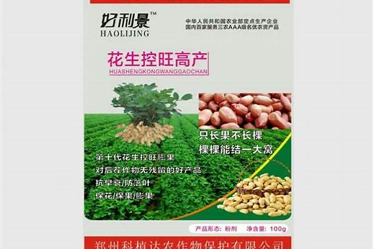 花生控旺后怎么用药施肥？给花生控旺的目的是什么？