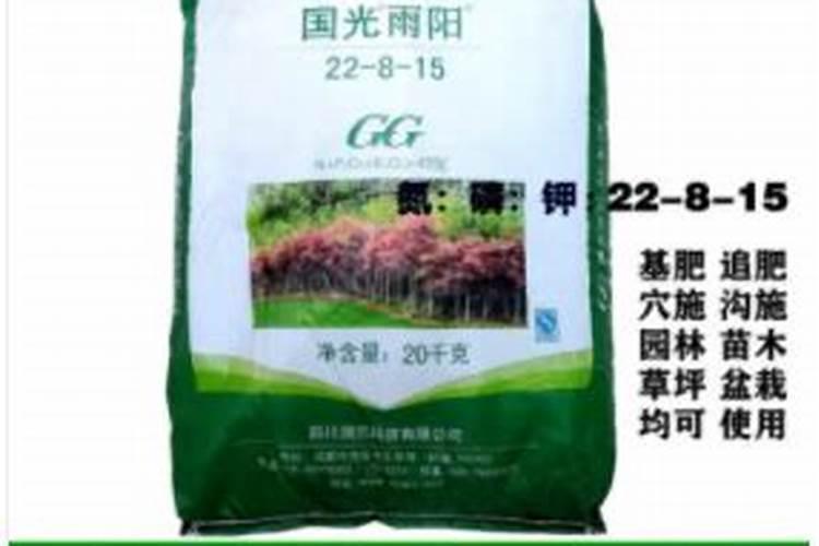 绿化树什么时候施肥合适