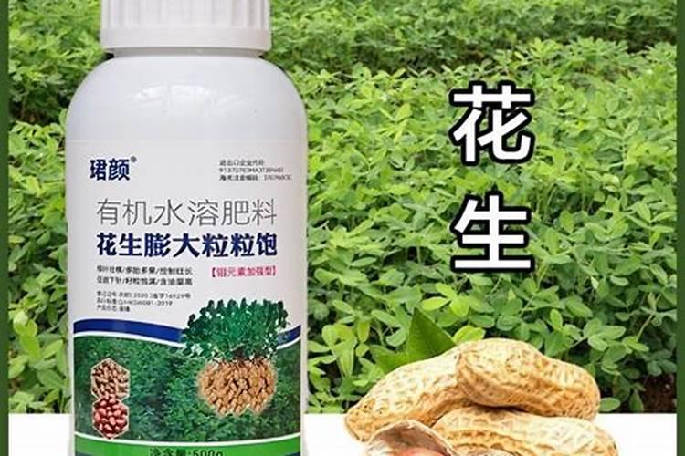 花生生长期都用什么叶面肥好