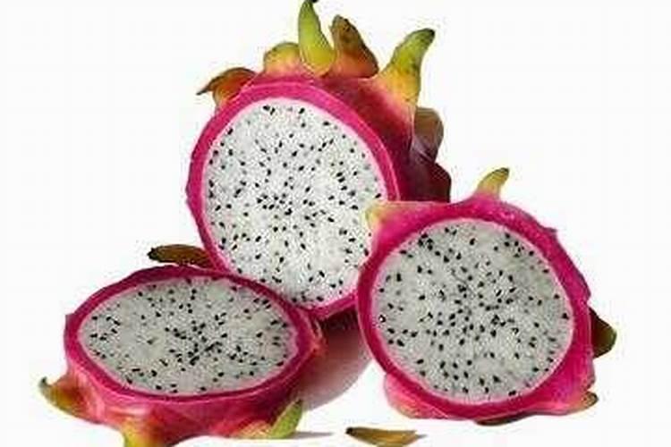 果树用冲施肥的效果如何？火龙果上什么肥料长得好？