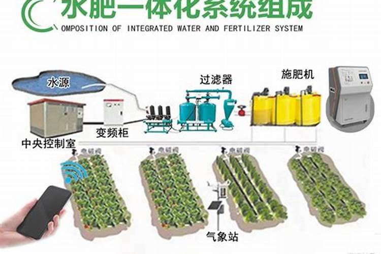 小麦种植水肥一体怎么施肥