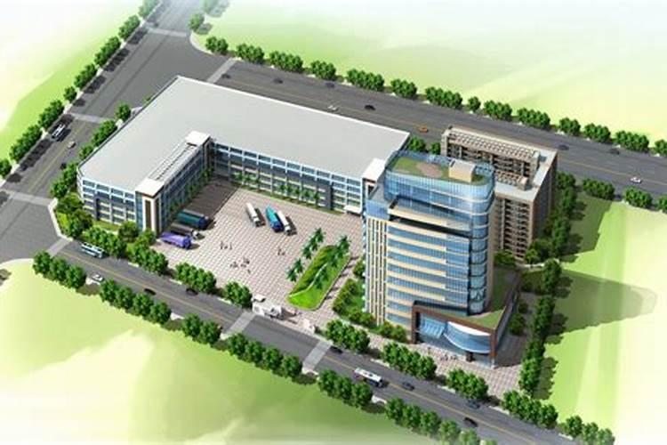 兰花叶尖经常干枯是什么原因？怎么办？