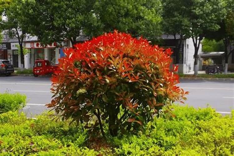 水产养殖对虾前期进水前还是进水后使用vc应激灵