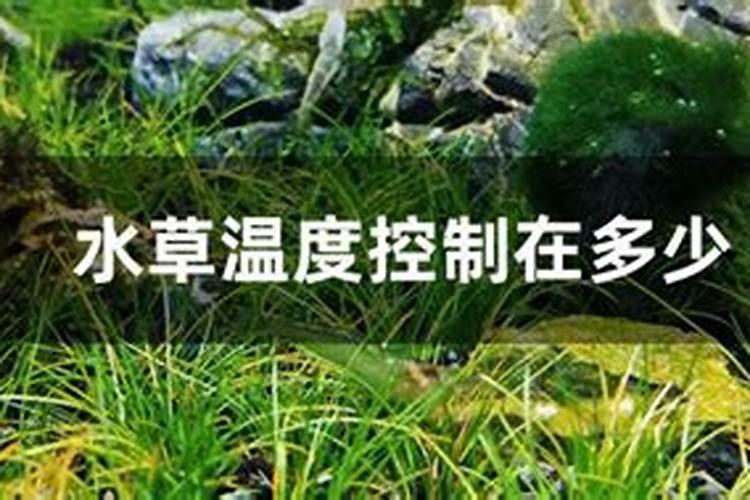 养了10年鱼不知道什么样的水才是肥水,好水？