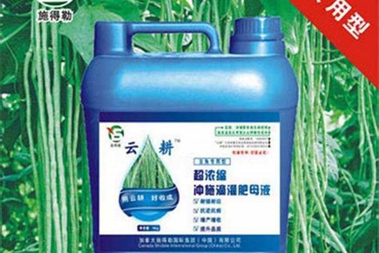豆角结荚期怎样施肥