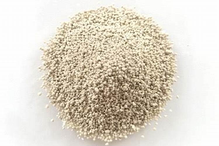 花盆土里很多黄色球状体是什么东西啊,怎么治