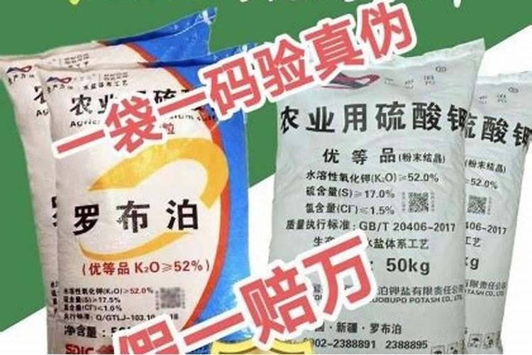 钾肥怎么用效果最好