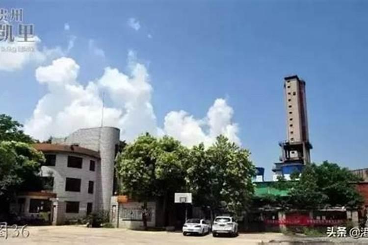 东魁杨梅管理技术要点,东魁杨梅的产地在哪里