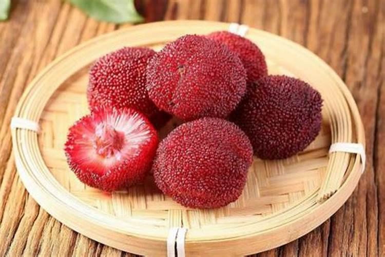 杨梅施什么肥料好