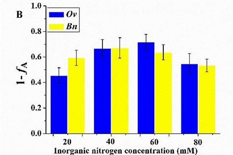 硝酸盐是什么肥料