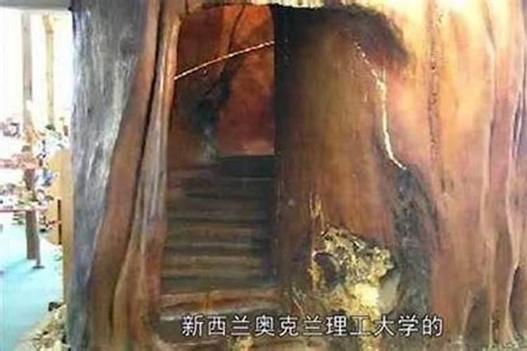 打叶面肥能是苹果表光好吗