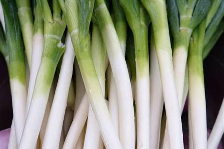 什么是大葱和韭菜钟爱的东西,时不时撒一撒？
