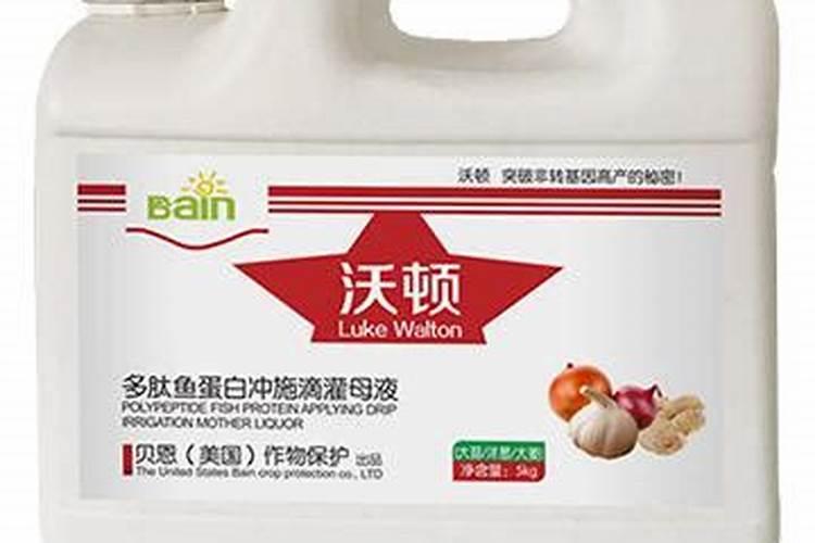 大姜种植后头两次浇水应怎么冲施肥料？