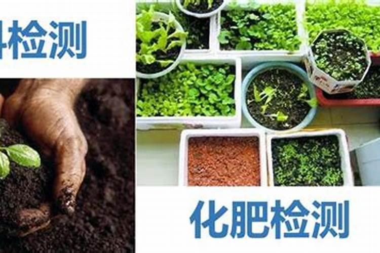 磷肥和钾肥作用