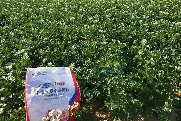 硼肥施多少超量会中毒