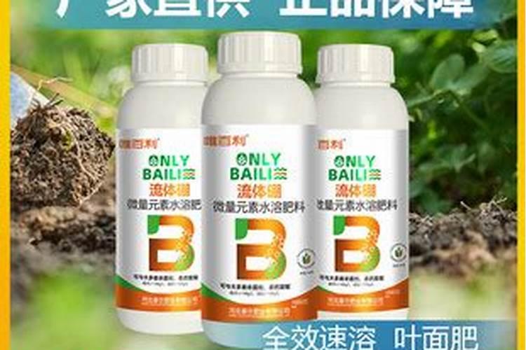 农用硼砂直接撒在水田里有效果吗