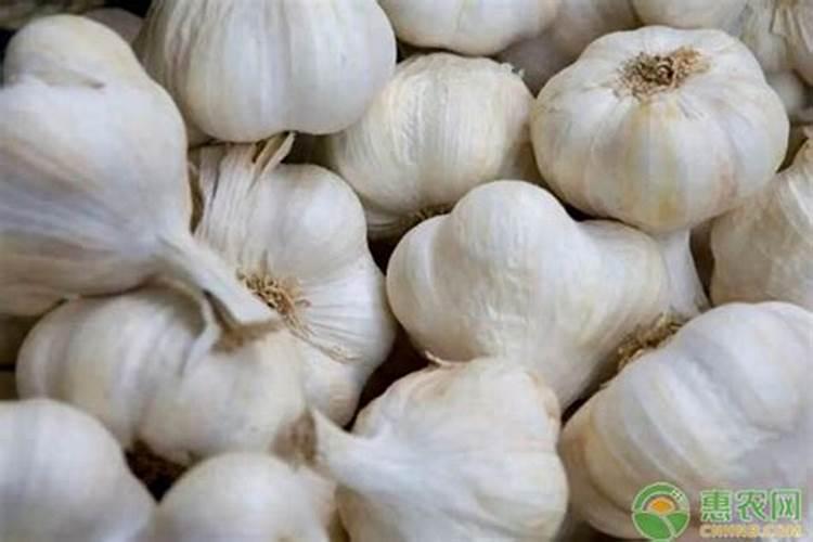 大蒜最忌什么肥料