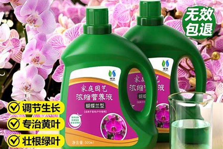 蝴蝶兰用什么样的肥料