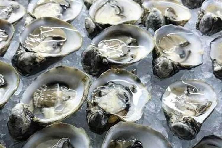 生蚝壳怎么做成花肥