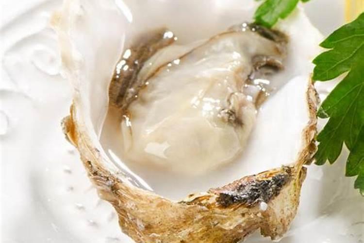 生蚝壳能不能放入月季花？