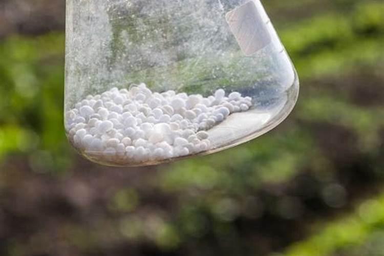 樱桃姐姐6号水溶肥的使用方法及注意事项