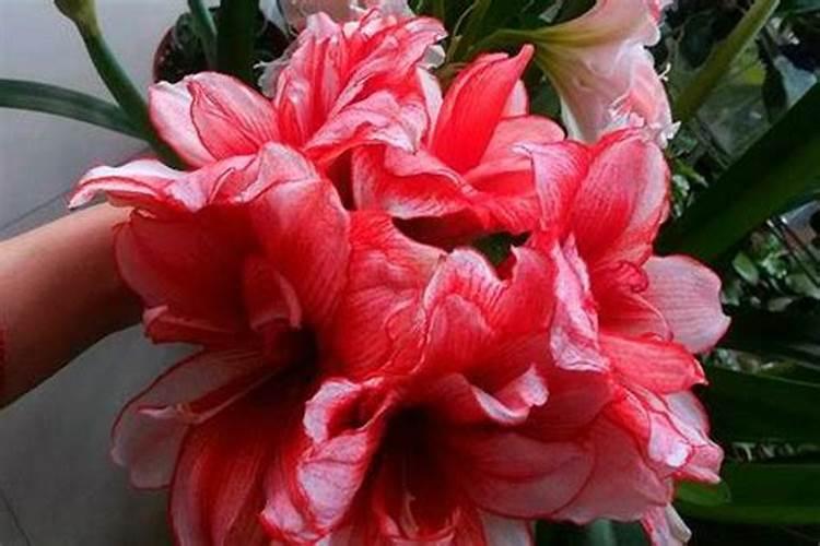 夏天喝过量果汁的坏处有哪些？过量果汁会对儿童造成什么危害