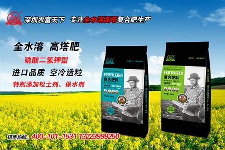 点油菜怎样施复合肥