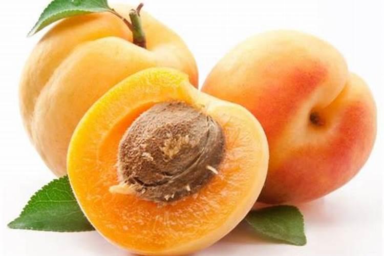 “梅子杏子肥”对应的是一年中的哪个季节呢