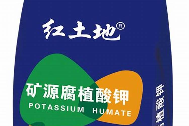 种植马铃薯应该怎么施肥？都有什么讲究？