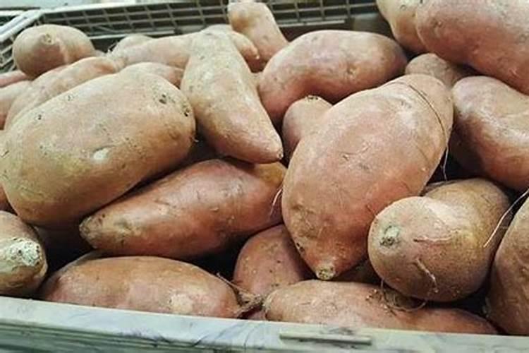 红薯的施肥方法,用什么肥料合适