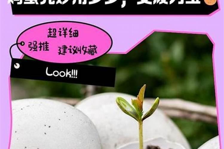 鸡蛋壳是磷肥还是钾肥