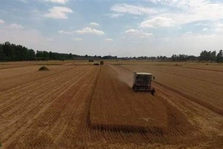 富硒肥料什么牌最好？