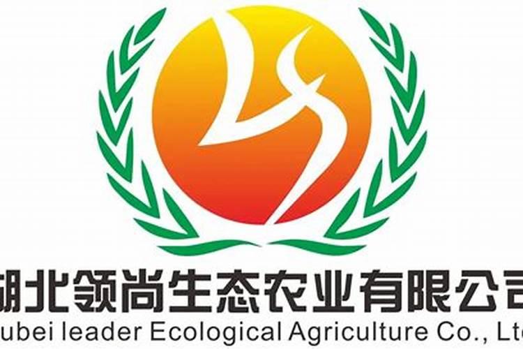 富硒叶面肥哪个厂家好