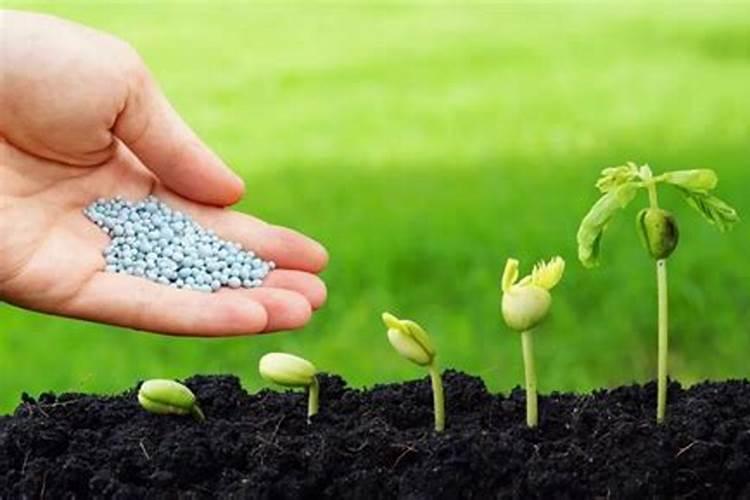 有机肥的注意事项