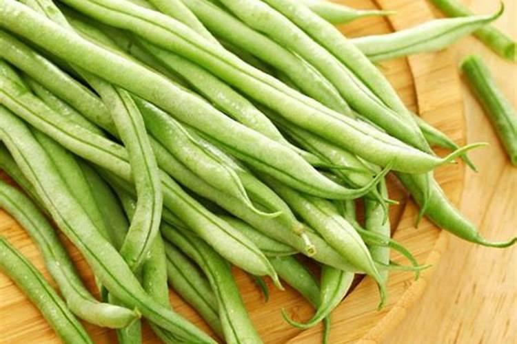 豆角不结豆角的解决方法