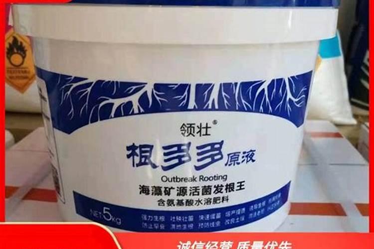 买来的金钱树盆栽一般多久要施肥 金钱树盆栽需定期施肥,具体间隔时间...