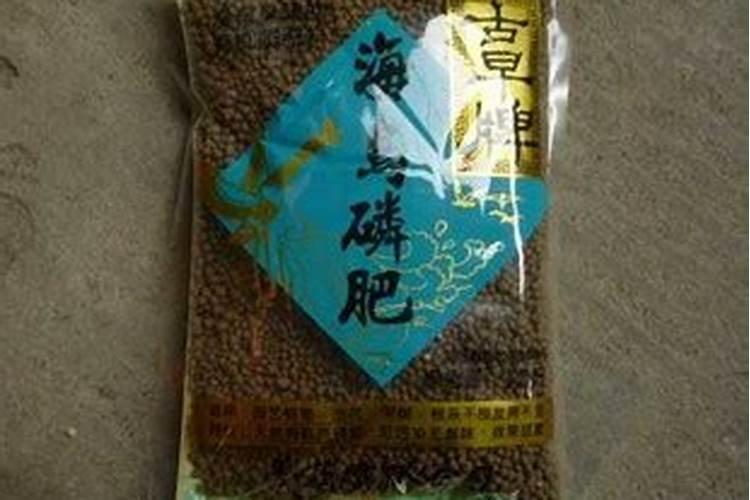 茉莉花怎么才能让叶子又大有好？